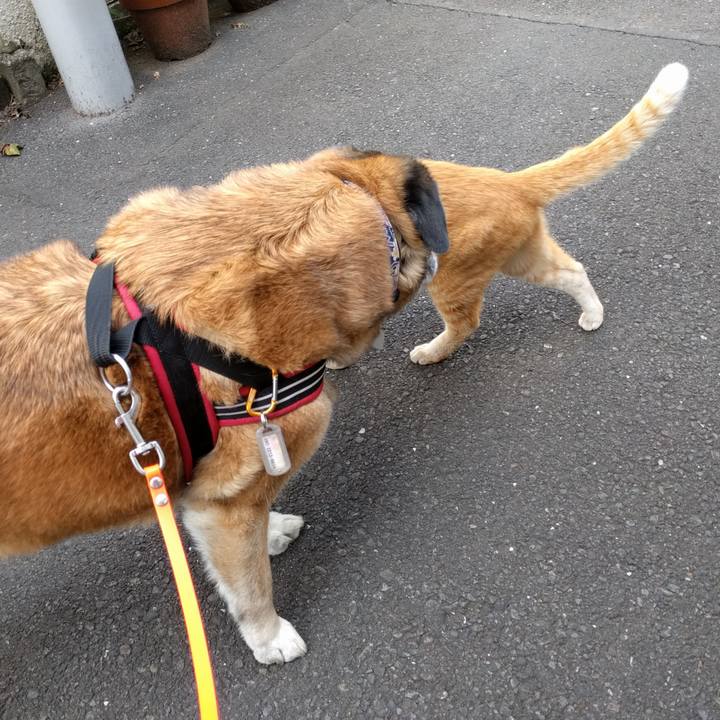 Bc021964 a371 4e60 bd86 1c17ca682b67