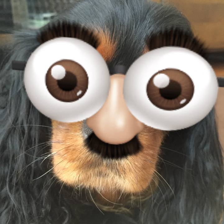 Bc0228a0 5ad6 4994 abea 7580a9177ea4