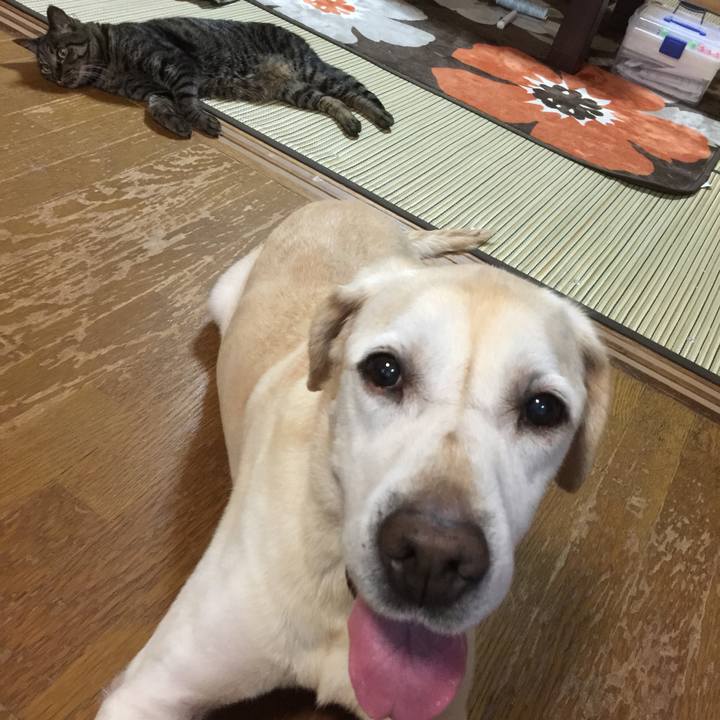 Bc027648 8548 4003 abb0 b3537879cf79