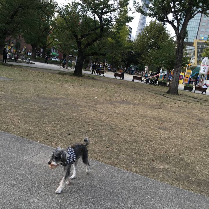 Bc029d6a 7a7b 4a3e 804a acebee1176af