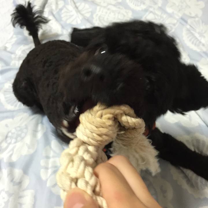 Bc02c08c 5e8f 47a6 af63 24585bd56695