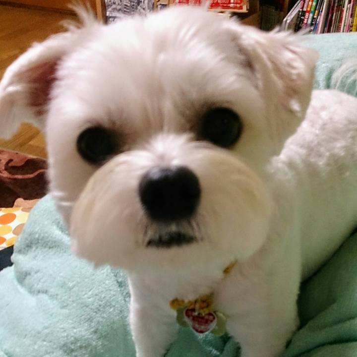 Bc03484a fde4 4b0d 9cab bac29a148ef8