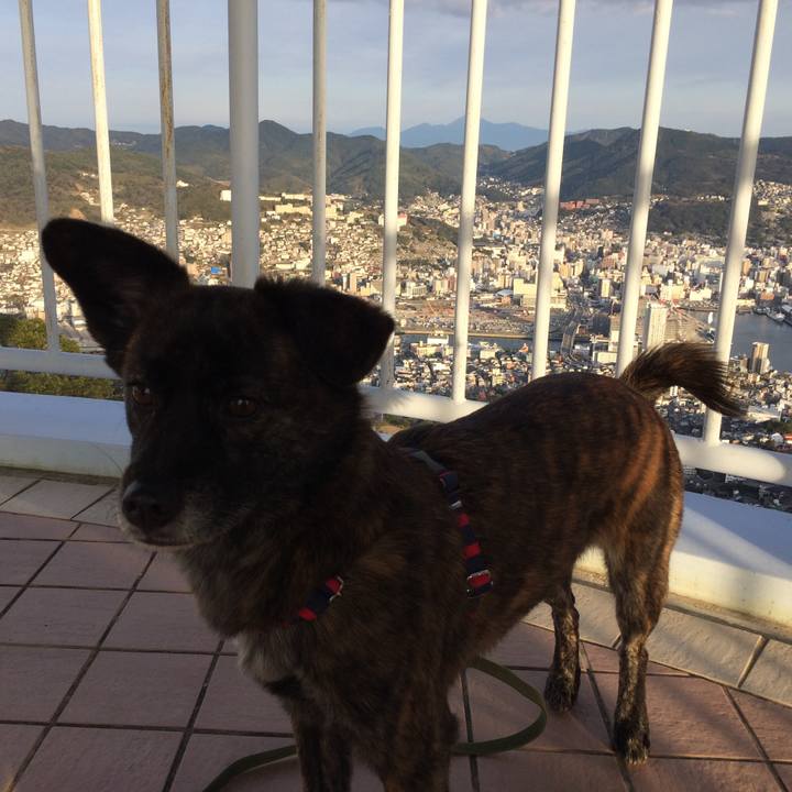 Bc0386c3 8871 4100 8f03 e6d023e9f23a