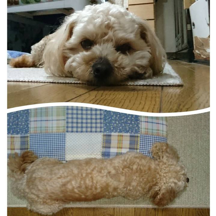 Bc03c8bd 825d 4103 8707 922d03879d3c