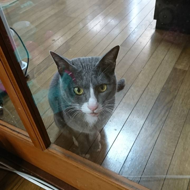 Bc046233 8796 416a a37c 9641e22cadd3