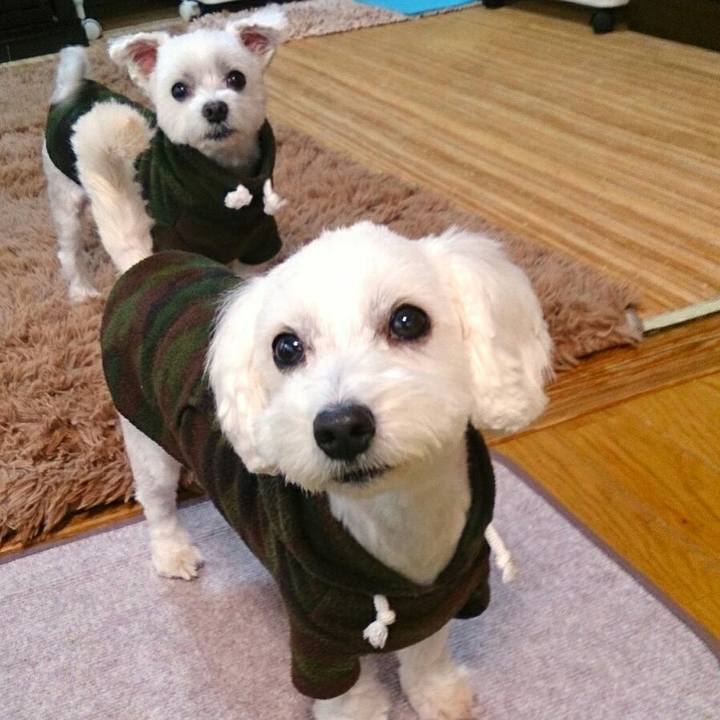 Bc04e72f 80ab 4193 9995 336c83b72113