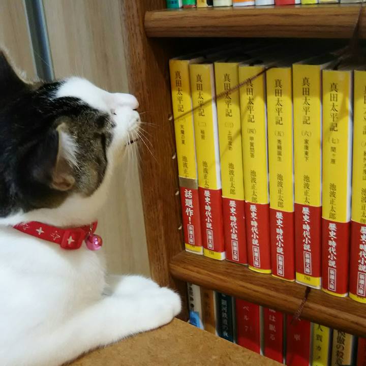 Bc05b0d0 ac07 4ea5 aacc a357e6931353