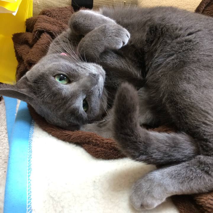 Bc05e128 1d74 4c48 b6b3 7be8dc1417ed