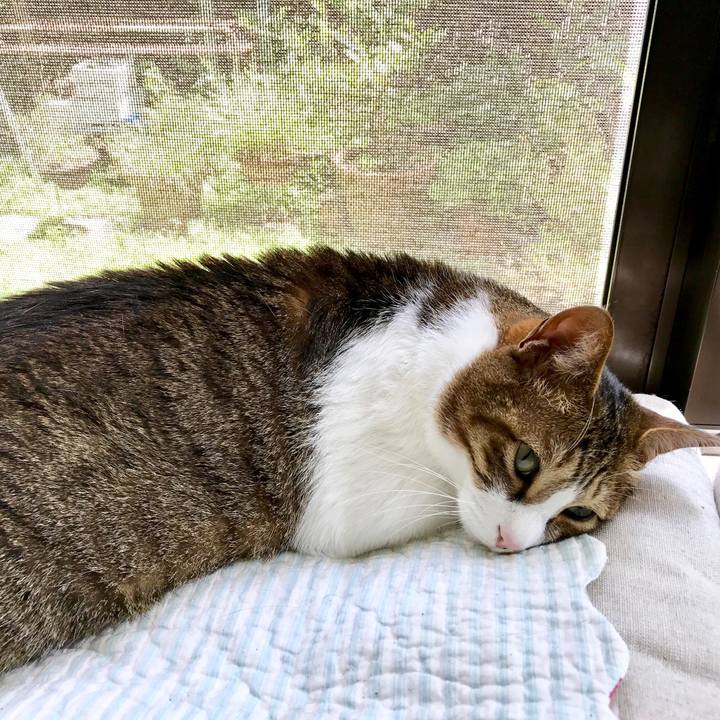 Bc05e4ff de22 4c16 b5aa 8880df1f144f