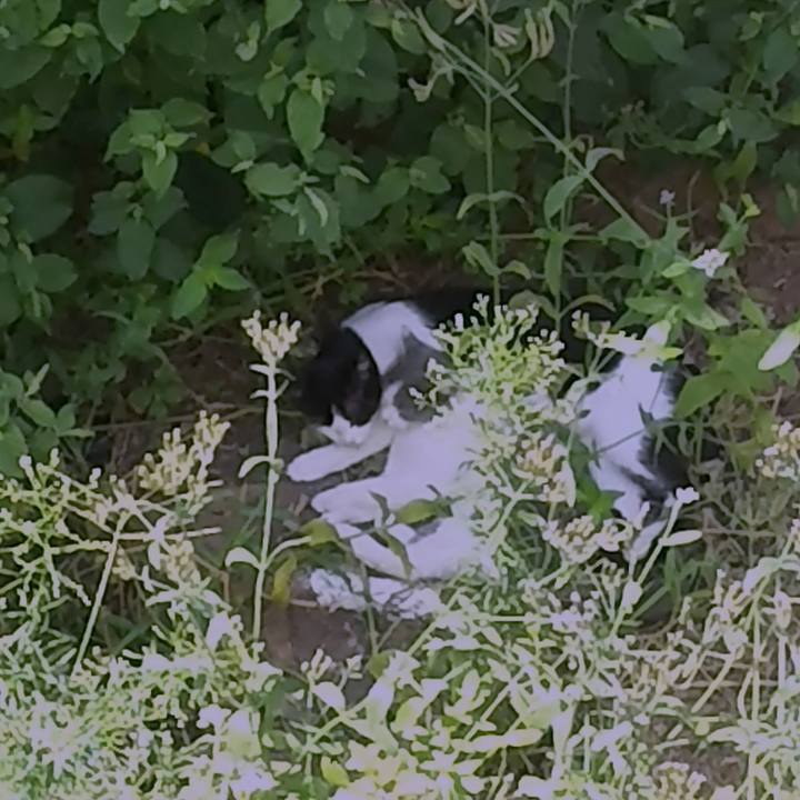 Bc060742 a96e 4e23 abdd 631d3ffa14b0