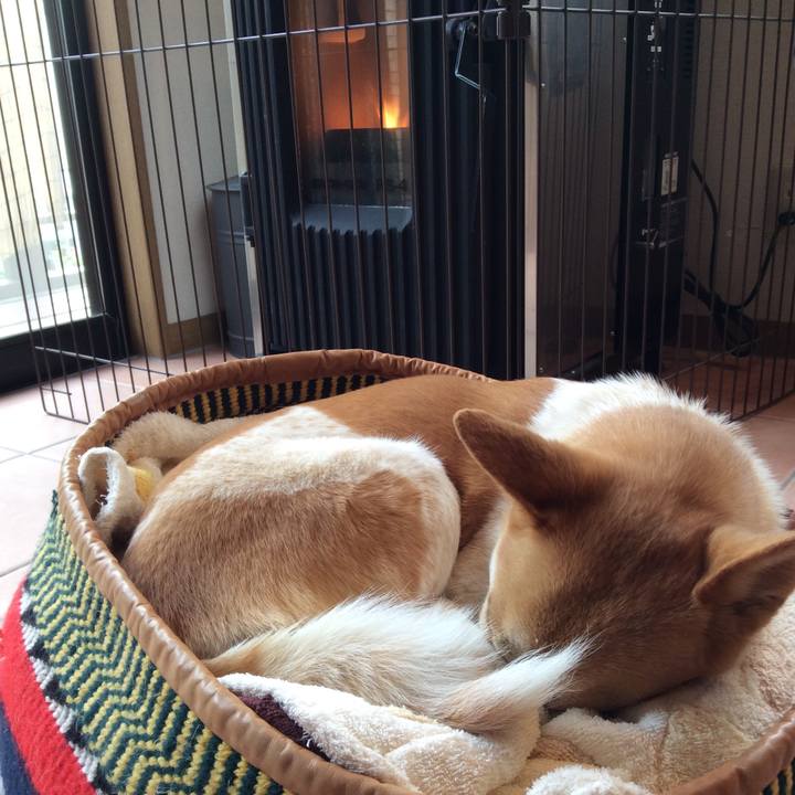 Bc06447b 20cd 44b2 a6c6 cb63e8d1bcfb