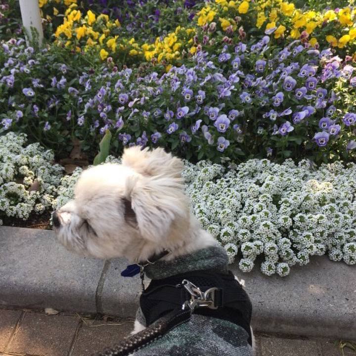 Bc064f2a f7bb 4158 b47c 88296efc0821