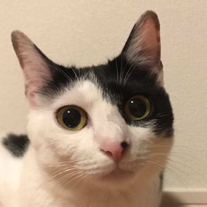 Bc067db2 25f2 45df b1cf 72712c69885c