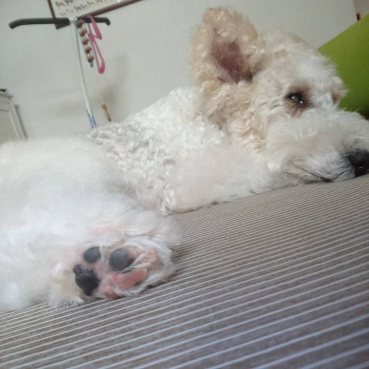 Bc0804b8 7521 46a7 a6bf e51b5e466374