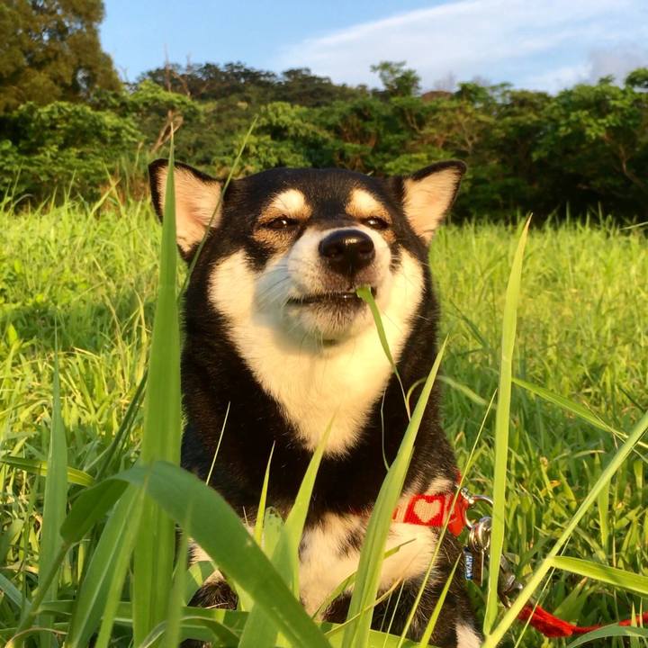 Bc081b18 7961 459b 81e0 4f886722bbbc