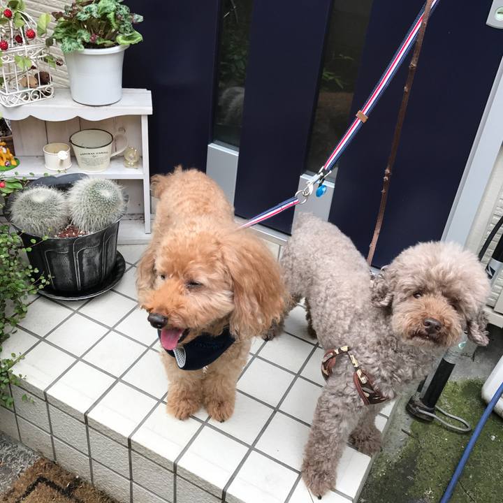 Bc08d796 a604 4d31 9638 00e697f25a56