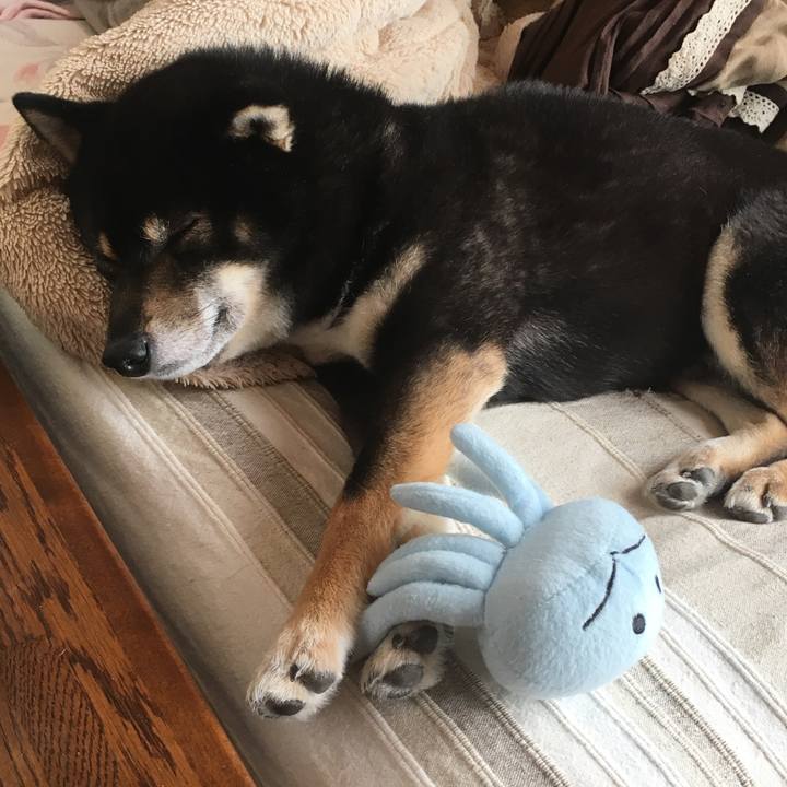 Bc090aca c73f 47ce 8093 b8bfe8fd808c