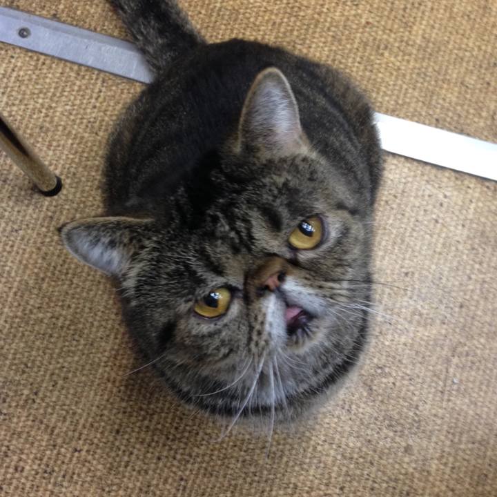 Bc095da4 c76e 4b67 9ea6 66ca26156940