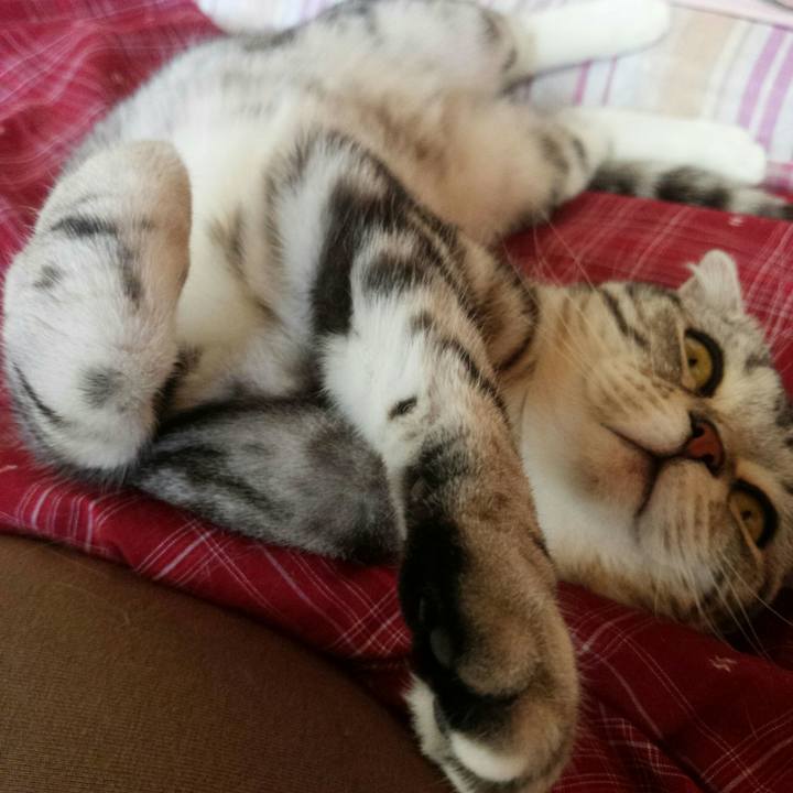 Bc0a8e0c 3343 4da1 8303 48fc6a9f5ca2