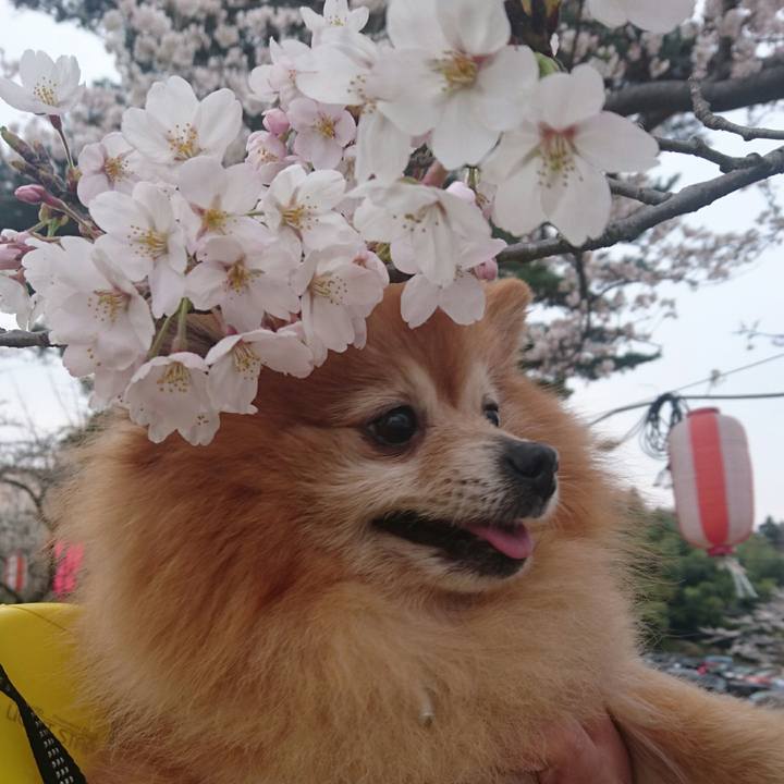 Bc0a9d0d 32f9 47fb bdc0 dabe60b775dd