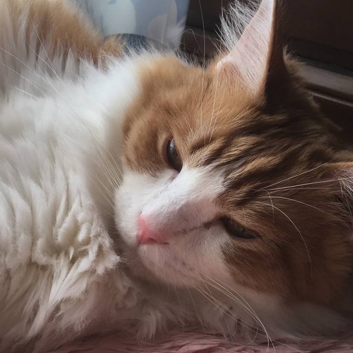 Bc0aca2f b2dd 48e5 b70a 5ff4514ea37a