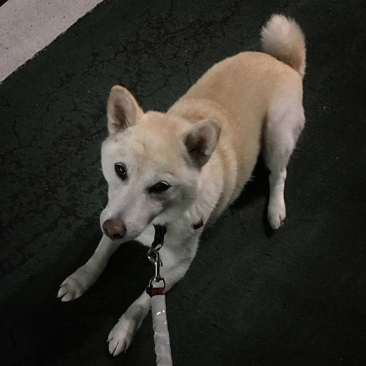 Bc0b7baa 85f5 4849 9b20 14c9c6221b43