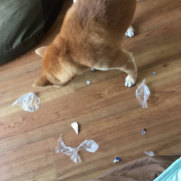 Bc0b9128 98d4 4a89 9035 30f4dc5d0799