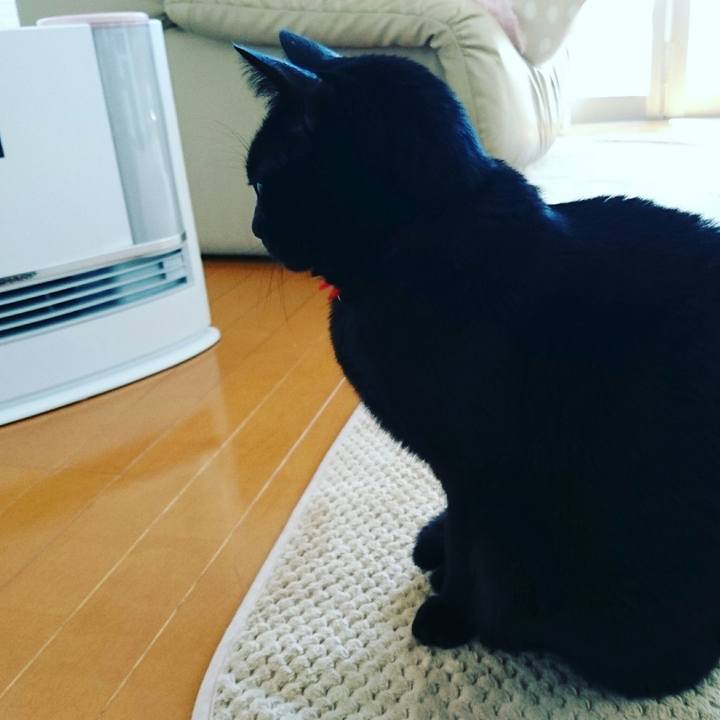 Bc0c2403 ba96 4528 8f01 16a5d01d9fb9