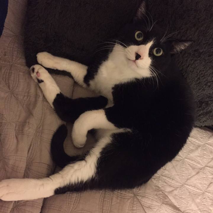 Bc0c5c21 8e70 40f5 bb2a 50ef57eec1bc