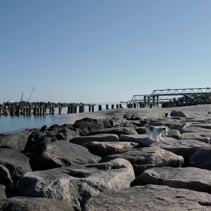 Bc0c6d53 dae2 41fc a152 0d862218c370