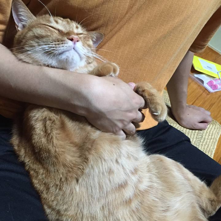 Bc0c932f 8629 4675 83f2 0ff6ecf9bff9