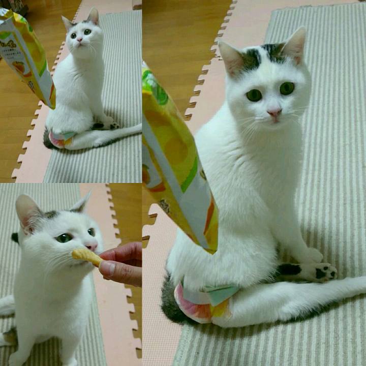 Bc0da525 3882 45c8 8052 5979a4b51036