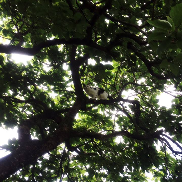 Bc0dd17c 2c6f 401b adbe 12cd7934e895