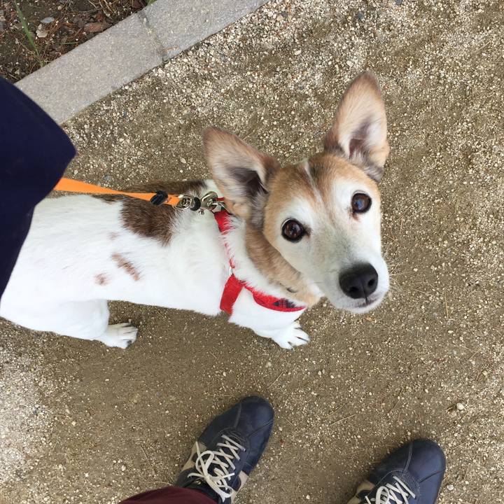 Bc0df8a1 6d64 4556 8cc7 98e669666ab7