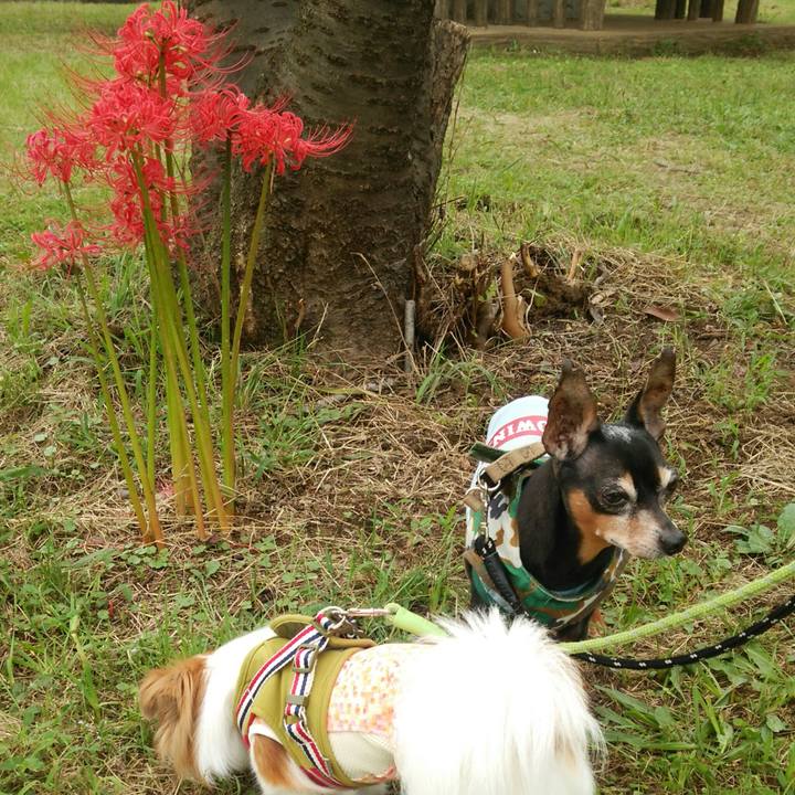 Bc0e0ea1 a1d0 418a a0cd 942c3d7d8d22