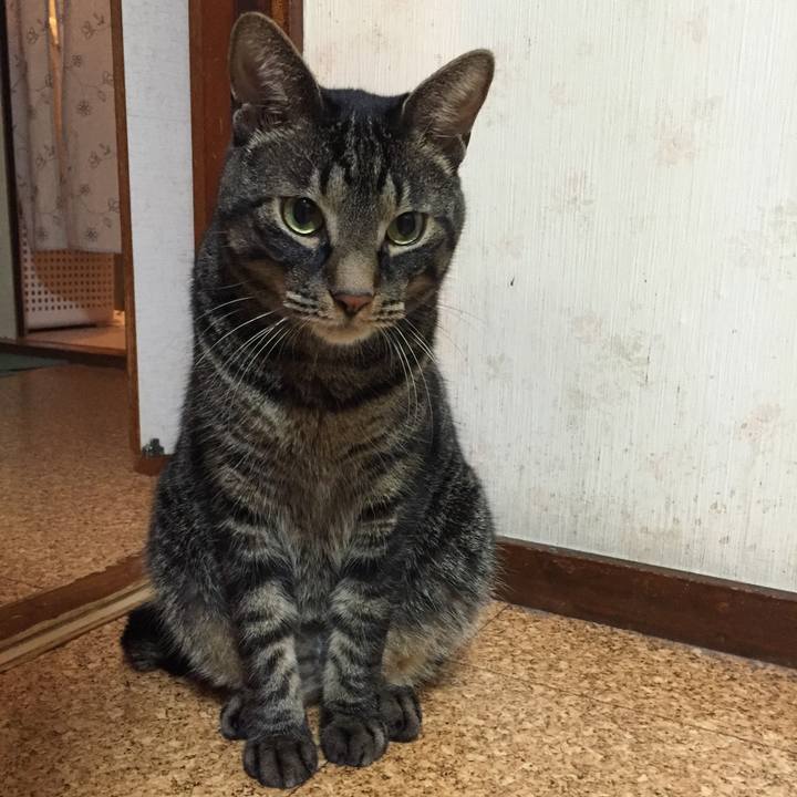 Bc0e0eee f426 4dac ad7b ba8fcf2c9664