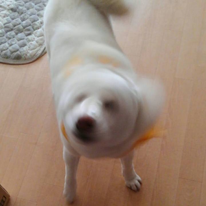 Bc0e561b c74d 458d afcb 608270c9e4d8