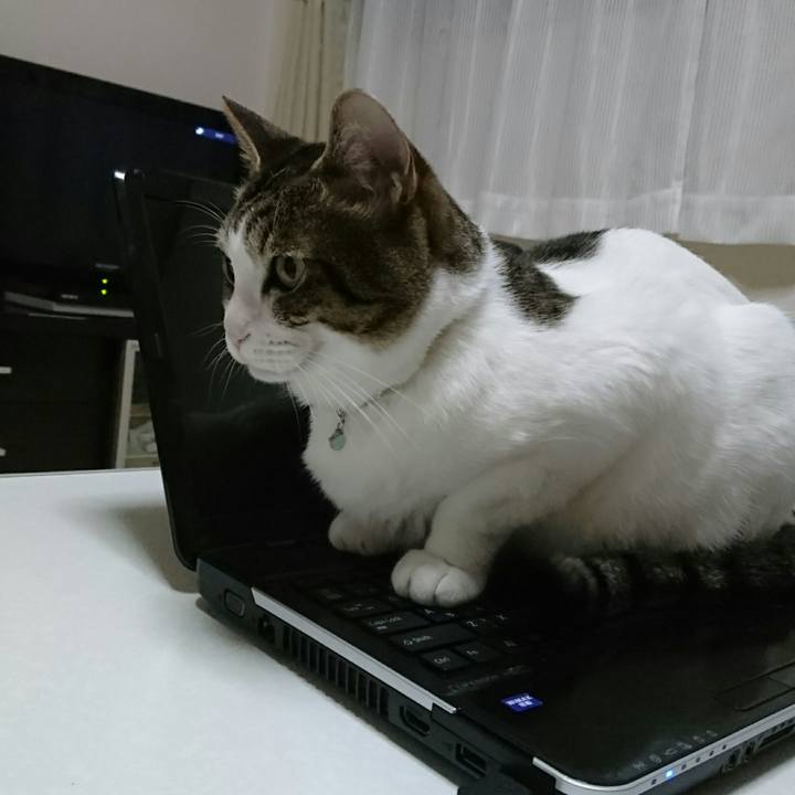 Bc0e8578 c96d 4565 a850 41f4b86eb25b