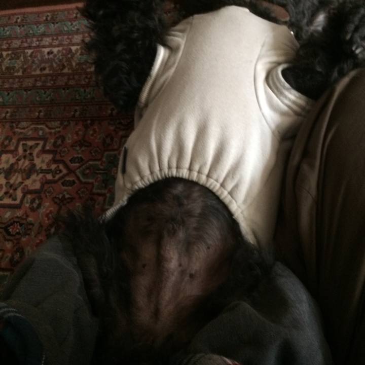 Bc0ecb33 19be 4222 b7e8 c94f5d911e0e