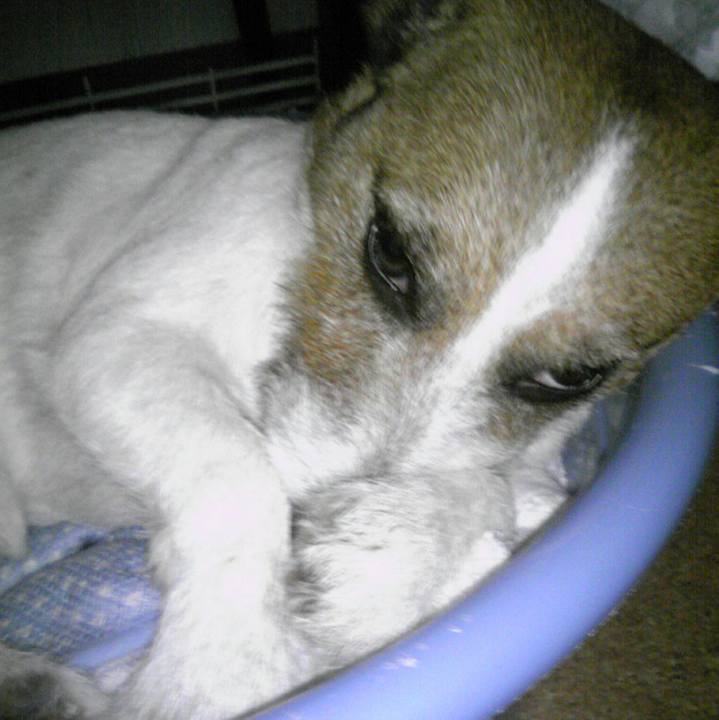 Bc0fba04 434d 4282 ab0d fb3e078300b3