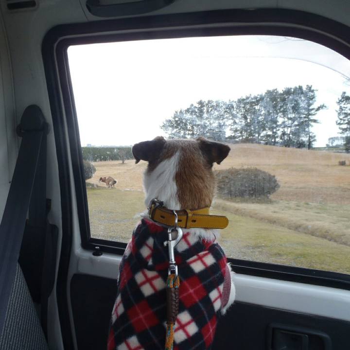 Bc112c26 8d93 41c6 9d61 384e537f7d86