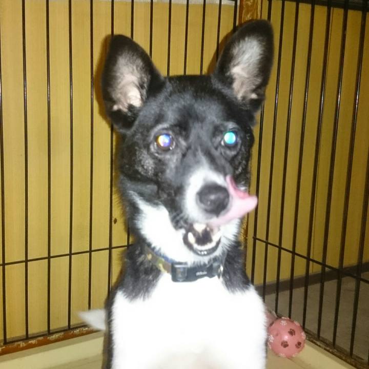 Bc123af1 2549 4f5a 8040 fa9a81b8db0a