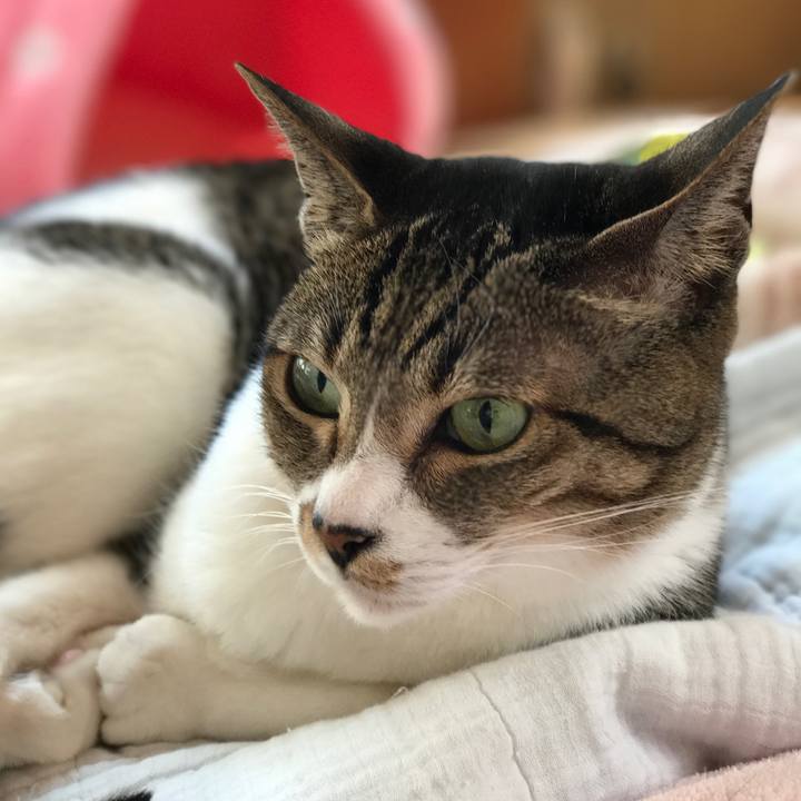 Bc128d46 015d 495a a54b 8352d153a565