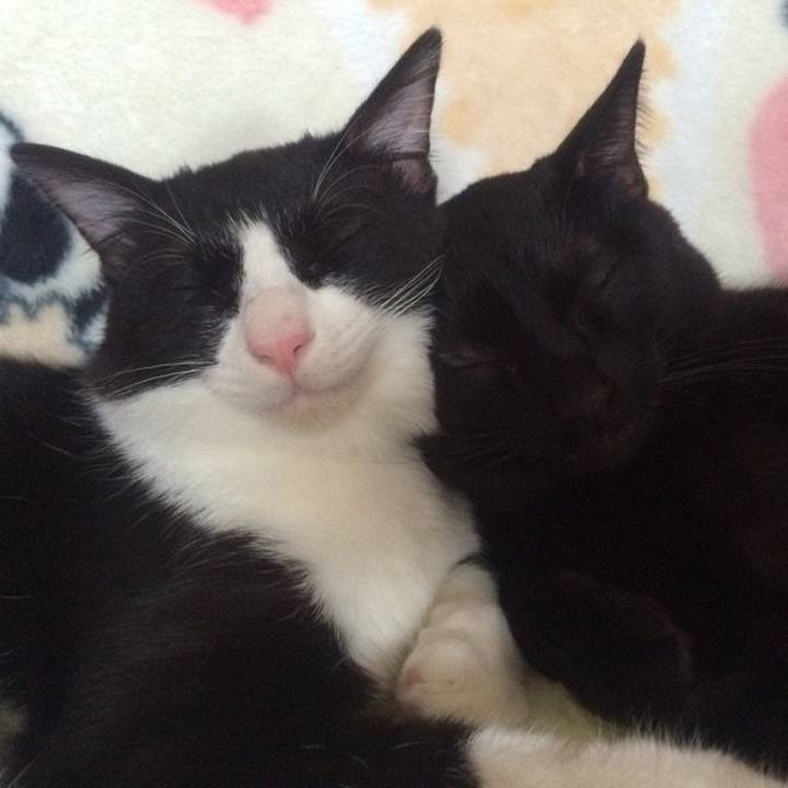 Bc12a782 4faf 4eb6 9e46 5724ccd773ff