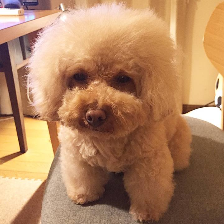 Bc1343b6 1af9 4623 bd09 e1c75f286815