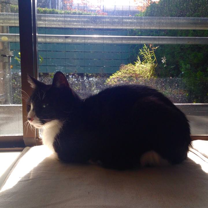 Bc1400d5 29fb 492e a278 04446150ae76