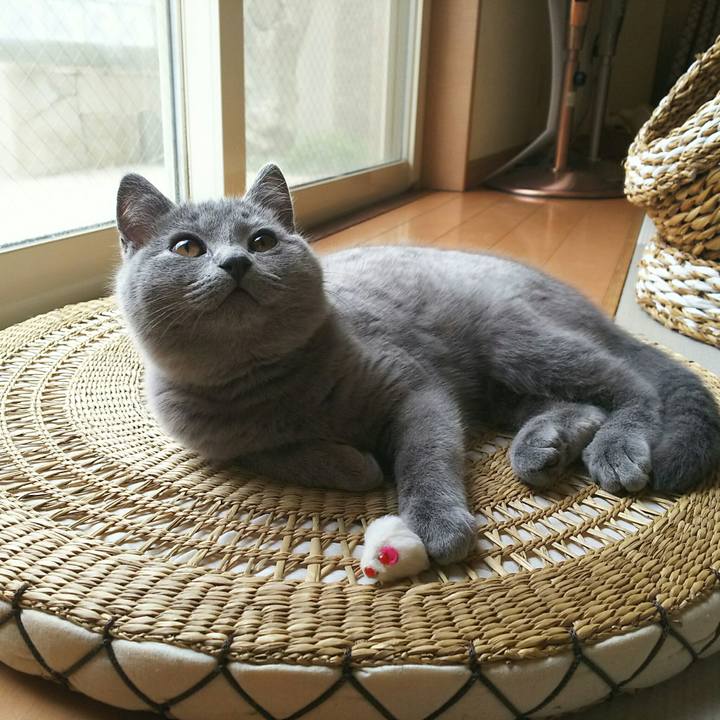 Bc154ad3 39f8 434e b9fe 9f076b79ddae