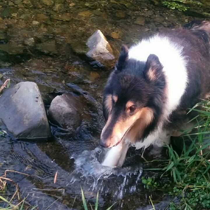 Bc15e3e4 62dd 4009 b8ab c1b17cd4f26d