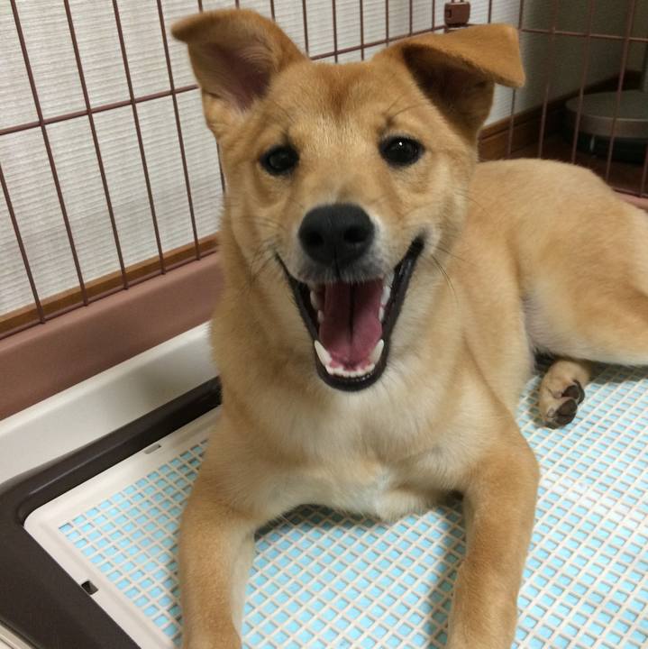 Bc161837 35bb 4f9b 9e16 24a4a2d307a0