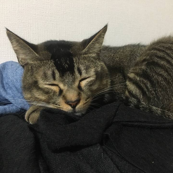 Bc16b324 9d9d 4cea bb3f fe7d6dd02304